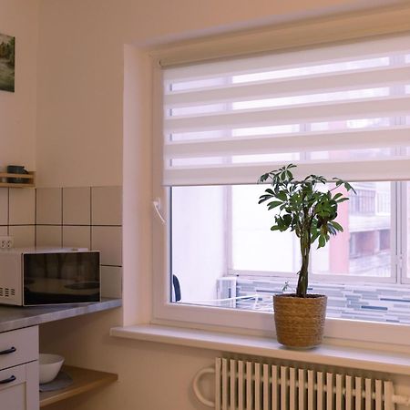 Visaginas Flat White Apartment Luaran gambar